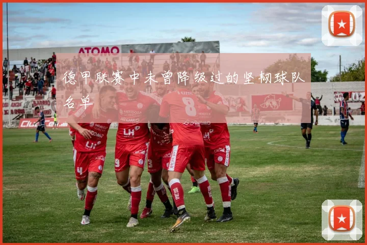 德甲联赛中未曾降级过的坚韧球队名单
