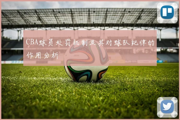 CBA球员处罚机制及其对球队纪律的作用分析