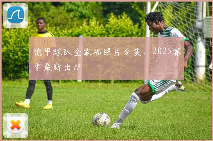 德甲球队全家福照片合集，2025赛季最新出炉