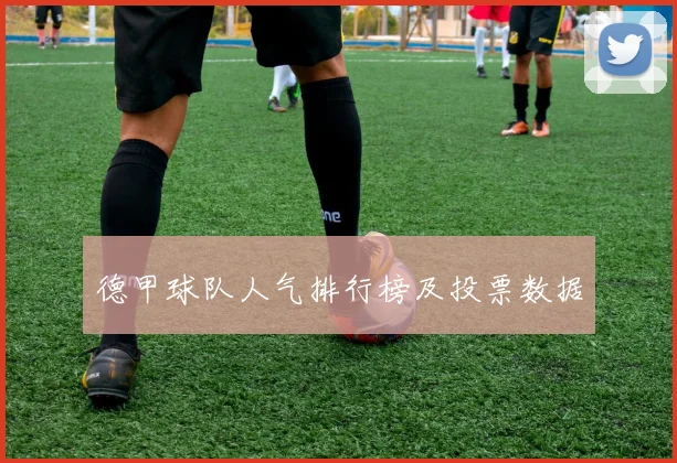 德甲球队人气排行榜及投票数据